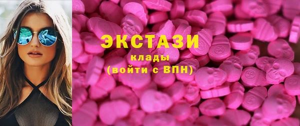 мет Алексин
