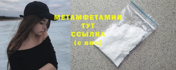 мет Алексин