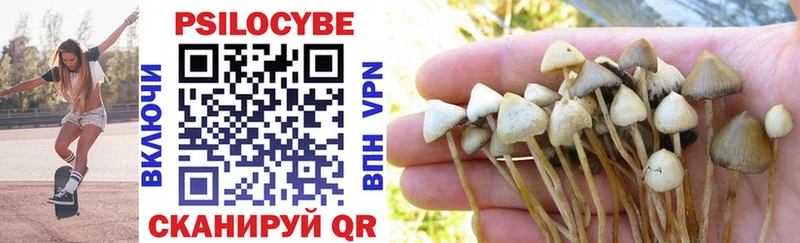Псилоцибиновые грибы Magic Shrooms  как найти   Катав-Ивановск 